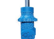 點(diǎn)擊查看詳細(xì)信息<br>標(biāo)題：BMT車(chē)輪系列馬達(dá) 閱讀次數(shù)：5450